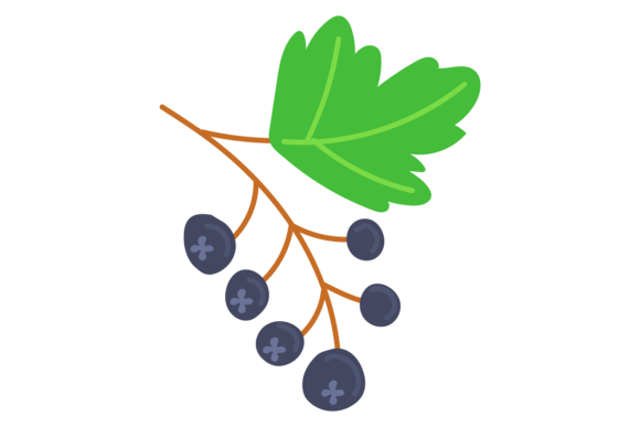 Black Currant Color Icon: Berry Natural Graphics & Illustrations