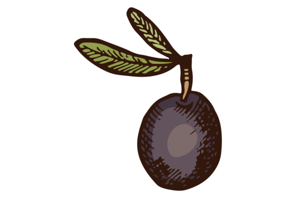 Black Olive Color Illustration: Hand-Drawn Graphics & Illustrations