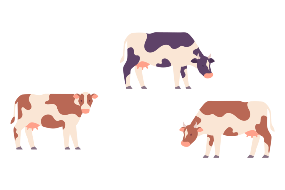 Cows Color Icon: Farm Livestock Design