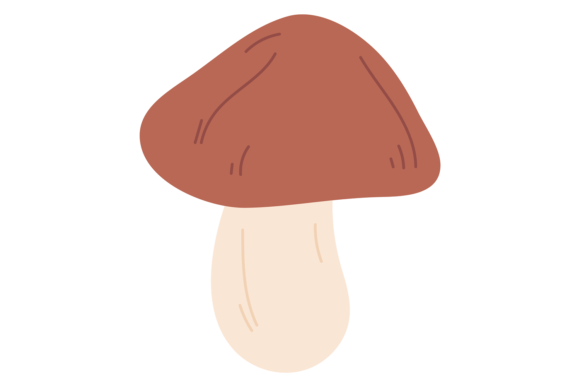 Mushroom Icon: Forest Wild Fungus Color Graphics & Illustrations