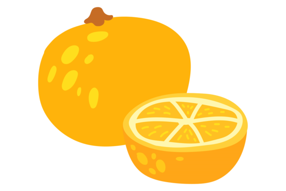 Orange Color Icon: Fresh Citrus Graphics & Illustrations